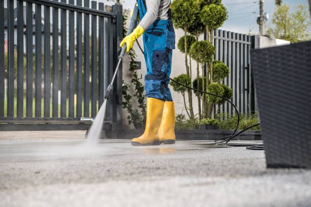 Best Deck Cleaning Services  in Logan, NM